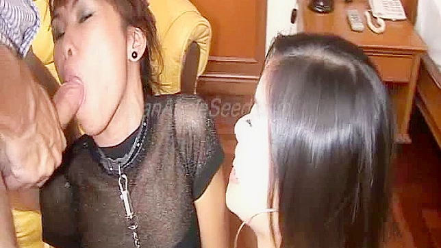 Dos chicas asiáticas amateurs en un trío caliente