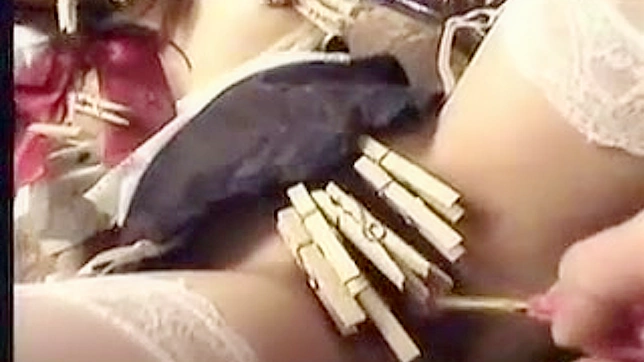 Alumna Encantadora Disfruta Sexo con Ataduras en la Habitación