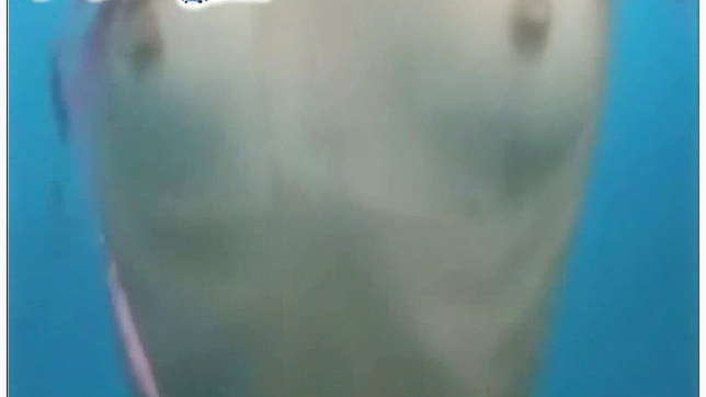 Chica Rubia Encantadora Muestra Sus Tetas Naturales