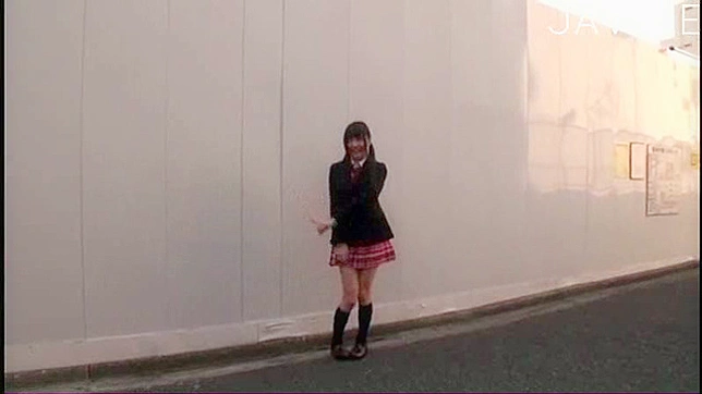 Charming and cute japanese teen is masturbating in the car