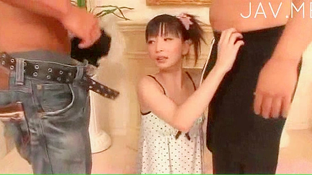 Pigtailed and glorious girl is sucking thick phallus