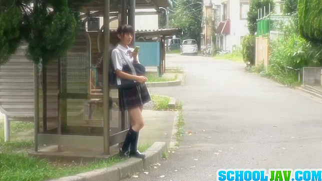 Carnal drilling pleasures for Japanese teen's hairy twat