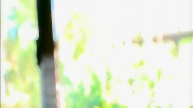 Encantadora asiática con habilidades sucias chupando polla