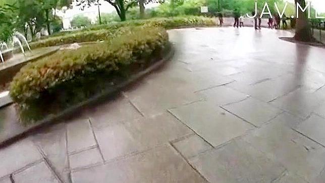 Se desnuda para una increíble follada