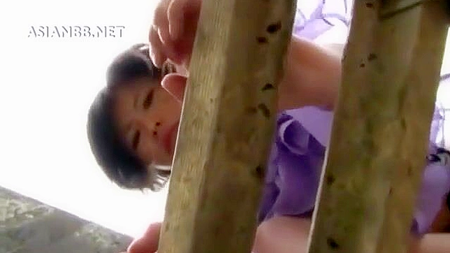 Chica Japonesa Hermosa En Un Vídeo de Sexo Brutal