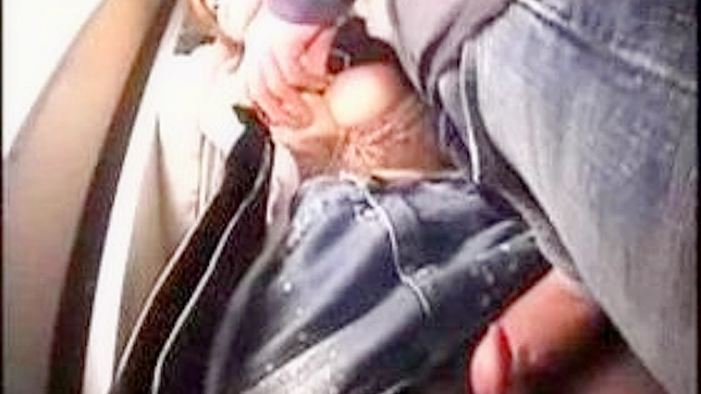 Molested Nippon Teens on Train Ride