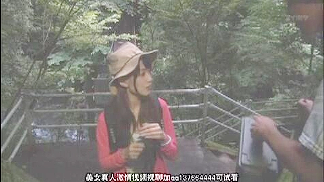 Wild Encounter in the Mountains of Japan