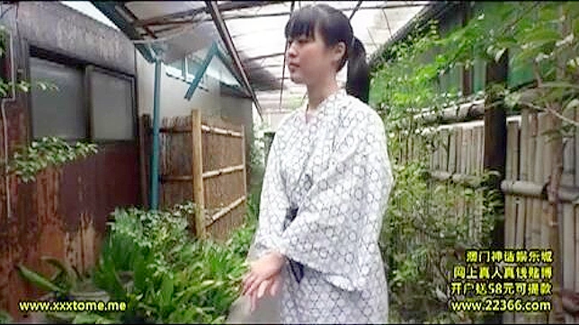 Asian Porn Video - Spying on a Hot Neighbor Secret Pleasures
