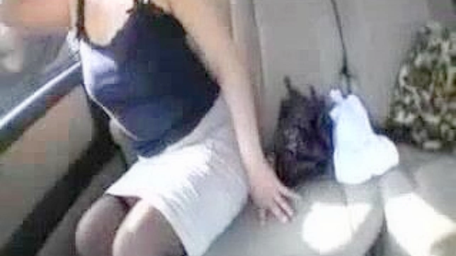 MILF in a Taxi - A Steamy Japanese Encounter