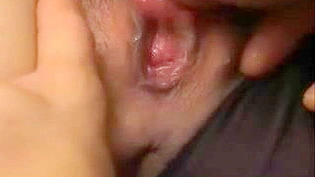 Japanese Porn Video - Grabbing Wife sister for her tits was not smart