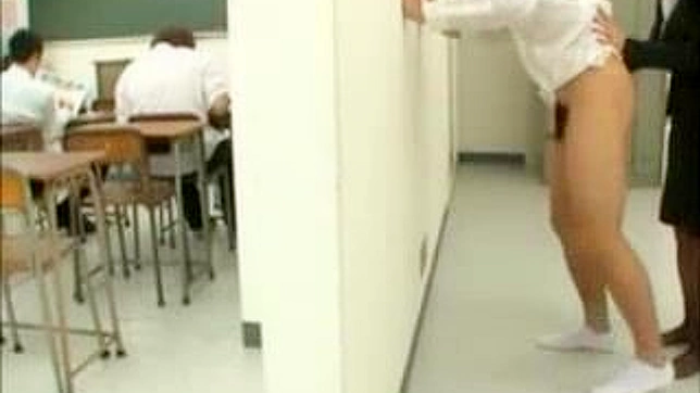 Teacher Pet - A Nippon Porn Star Secret Lesson