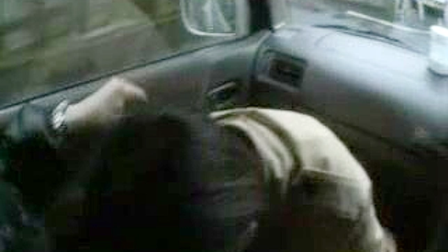 Nippon CoDriver Gets Blowjob & Public Urination Sex