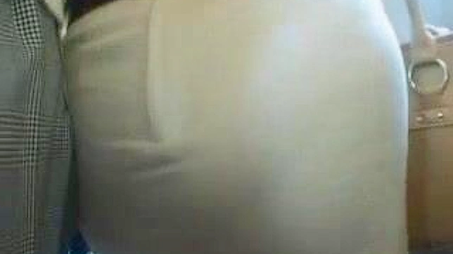 Tokyo Tease - Mature Woman Public Pleasure ride
