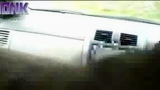 Carpooling with a Dirty Mind - A Journey into Japanese Porn