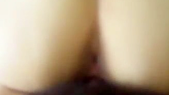 Juicy Amateur POV Sex Scene with Screaming Orgasms & Sleek Bodies