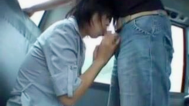 Erotic encounter with hot Japanese babe in a moving car