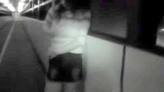 Jav Porn ~ Outdoor Party Turns into Sweaty Japanese Fuck Fest