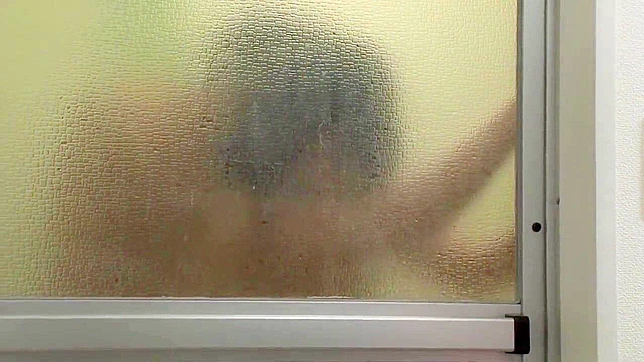 Nana Ayano's Steamy Seduction - Pussy-Craving Fellow Gets Wild with Her Horny Body