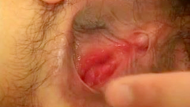 Anal Sucio Con Asiática Amante De La Polla Caliente